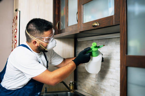 Best Flea Control Services  in Moscow, ID