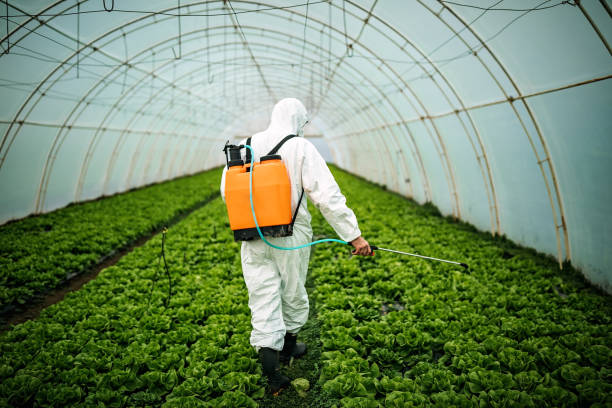 Best Commercial Pest Control Services  in Moscow, ID
