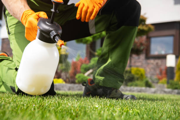 Best Residential Pest Control  in Moscow, ID