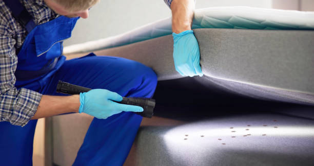 Pest Control Cost in Moscow, ID