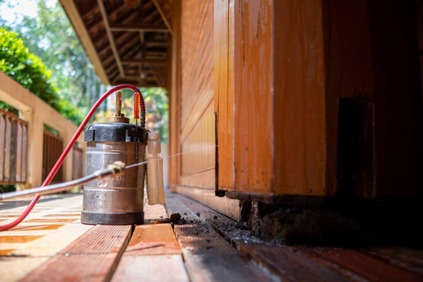 Best Termite Control Services  in Moscow, ID