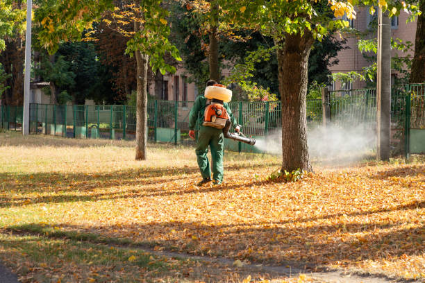 Best Pest Control Near Me  in Moscow, ID