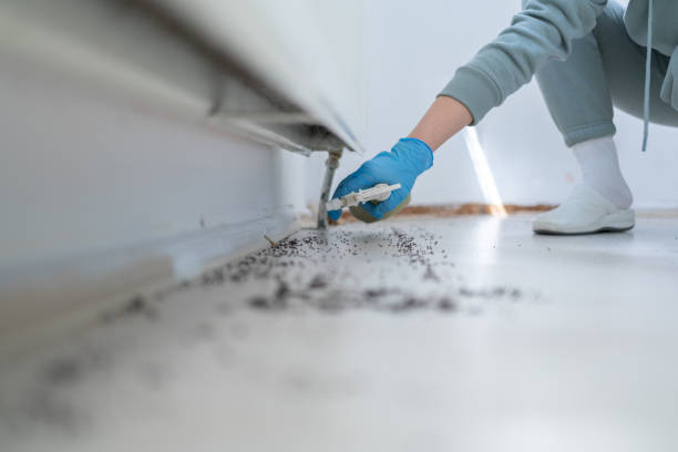 Best Pest Removal Services  in Moscow, ID