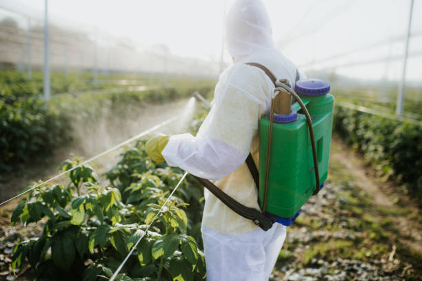 Reliable Moscow, ID Pest Control Solutions